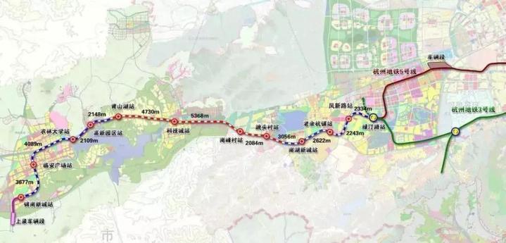 临安市医疗保障局领导团队引领未来，筑牢医疗保障基石