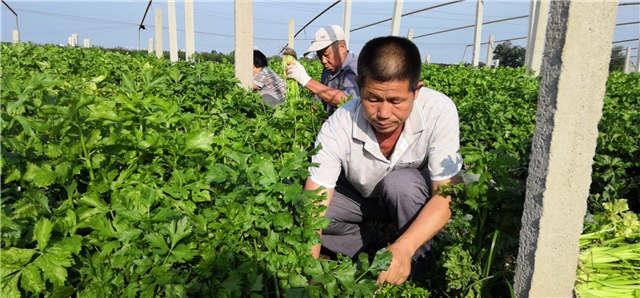 马家沟村民委员会天气预报更新通知