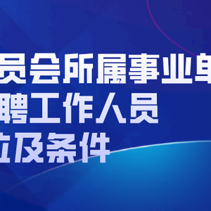 硚口区财政局招聘启事，最新职位信息概览