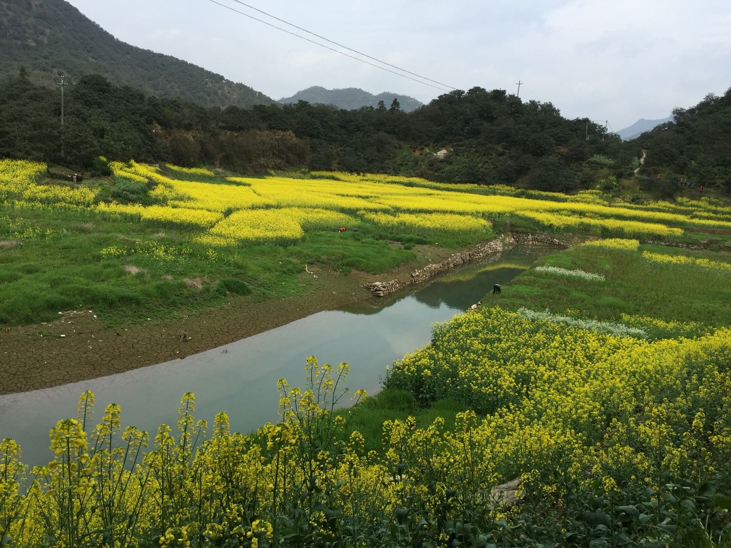 黄溪口镇最新天气预报