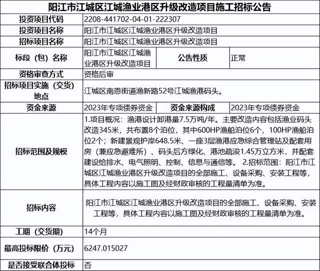 江城哈尼族彝族自治县数据和政务服务局发展规划探讨