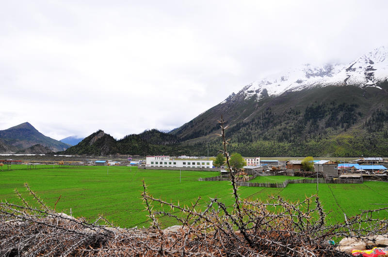 拉荣扎地村天气预报更新通知