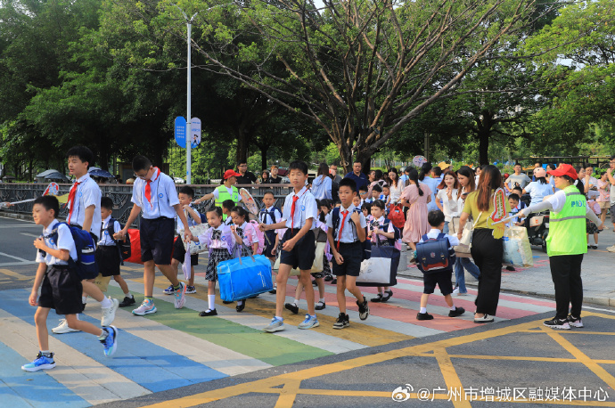 增城市小学最新动态报道