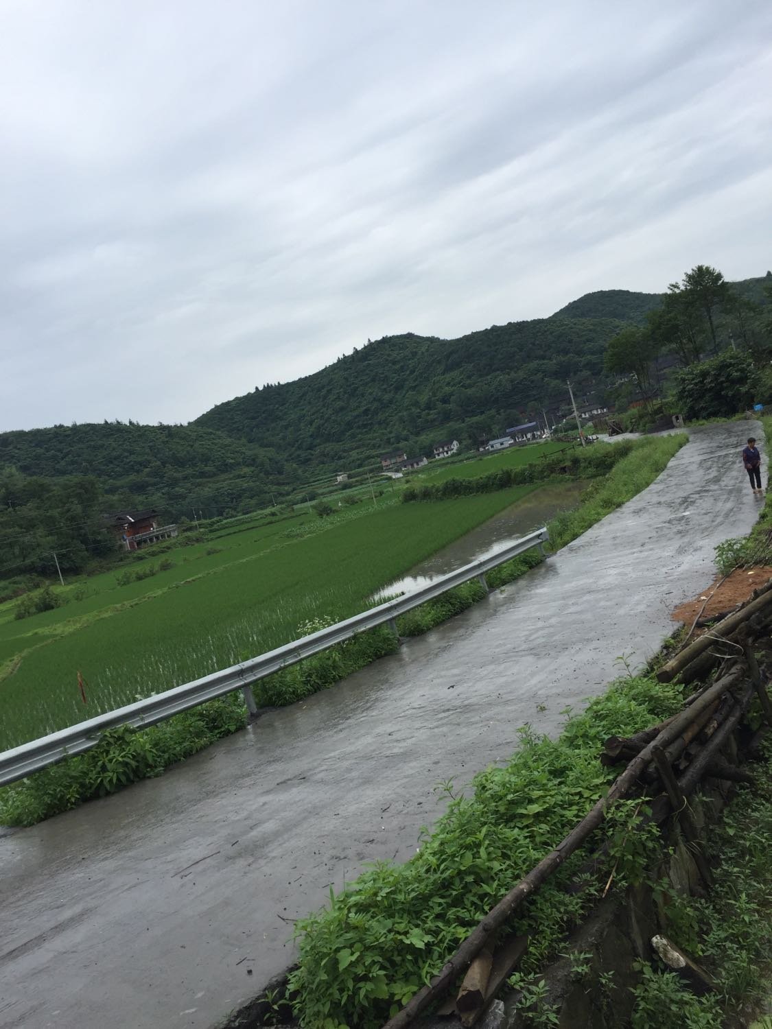 杨河村委会天气预报更新通知