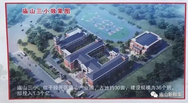 谢通门县小学最新发展规划