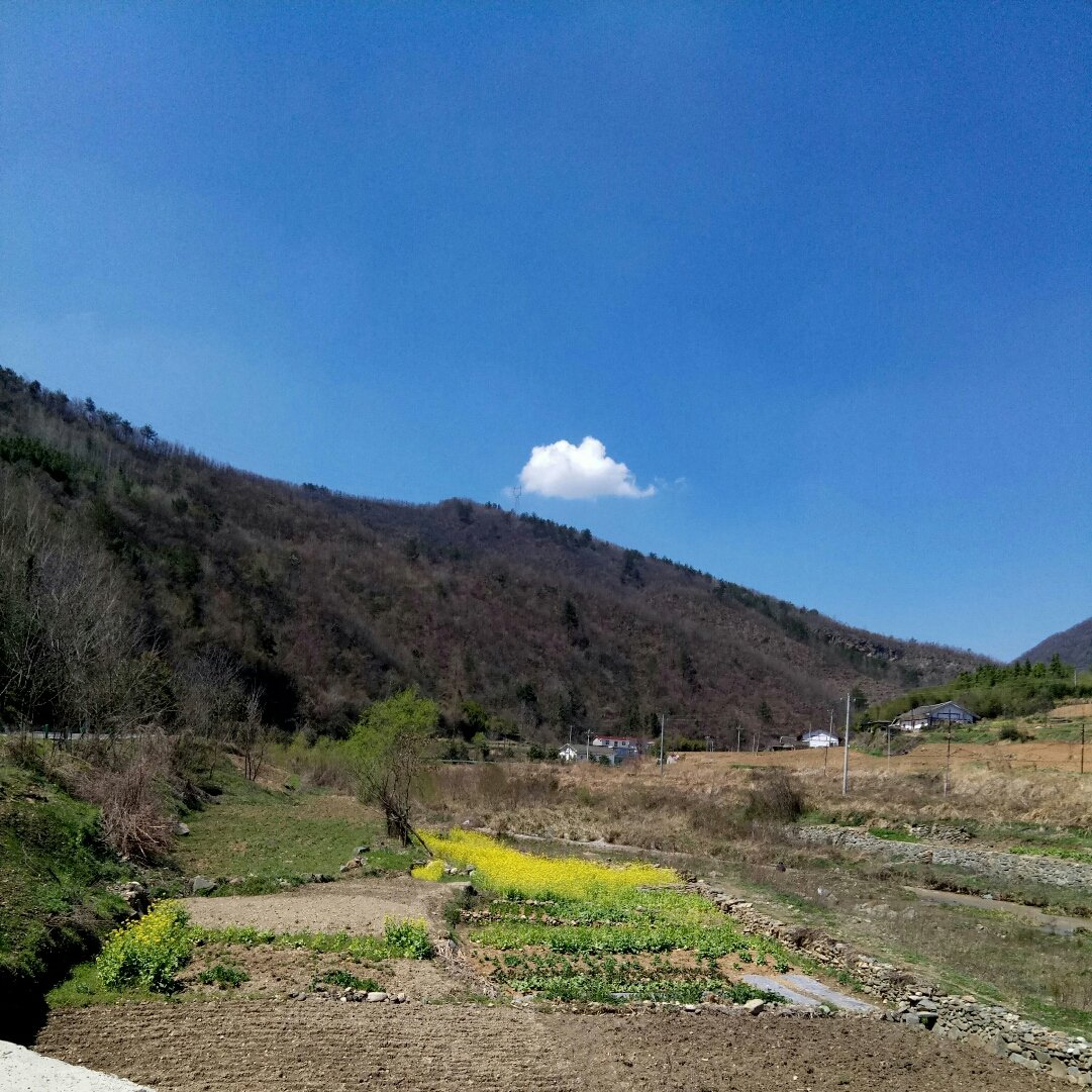 土城村天气预报更新通知