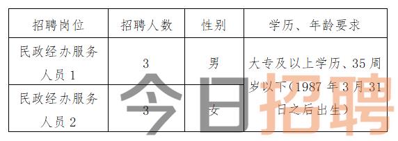 恭城瑶族自治县数据和政务服务局最新招聘信息解读发布