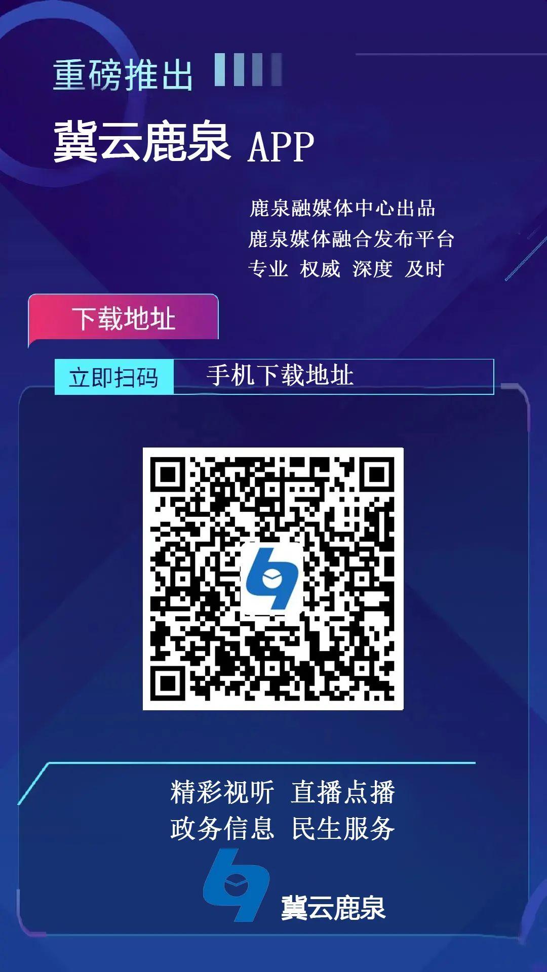 鹿泉市数据和政务服务局最新项目，数字化转型推动城市高效发展