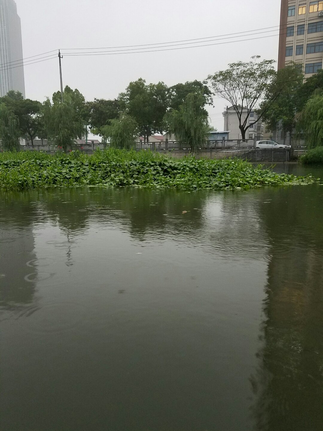 江浦街道天气预报详解，最新气象信息汇总