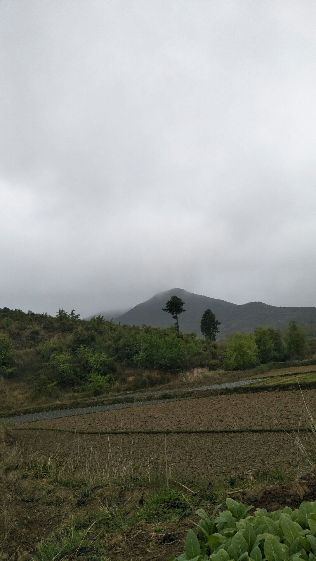 辉渠镇天气预报更新通知