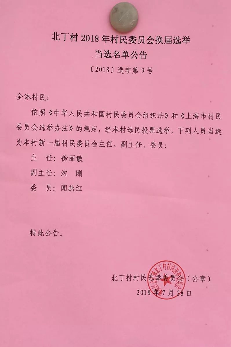 杨庞村委会最新人事任命，推动村级治理上新台阶