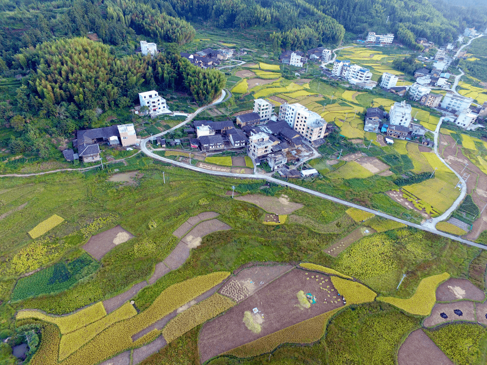 羊二庄回族乡最新天气预报